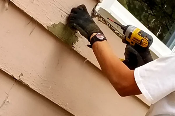 home-improvement-installing-new-windows-2026-01-08-22-28-16-utc