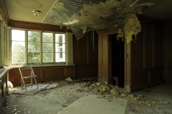 interior-of-an-abandoned-and-neglected-home-natur-2026-01-11-10-28-52-utc