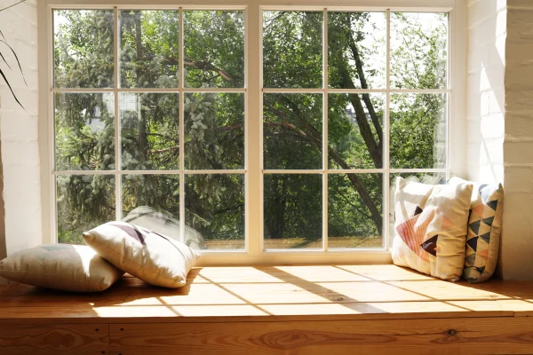 modern-window-with-pillows-trees-and-sky-behind-2026-01-06-10-41-59-utc